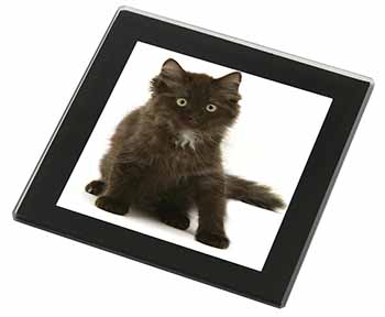 Cute Black Fluffy Kitten Black Rim High Quality Glass Coaster