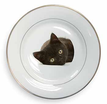 Stunning Black Cat Gold Rim Plate Printed Full Colour in Gift Box