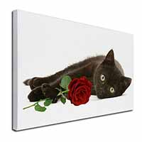 Black Kitten with Red Rose Canvas X-Large 30"x20" Wall Art Print