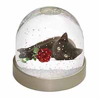 Black Kitten with Red Rose Snow Globe Photo Waterball