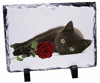 Black Kitten with Red Rose, Stunning Photo Slate