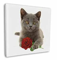 British Blue Kitten with Red Rose Square Canvas 12"x12" Wall Art Picture Print