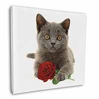 British Blue Kitten with Red Rose Square Canvas 12"x12" Wall Art Picture Print