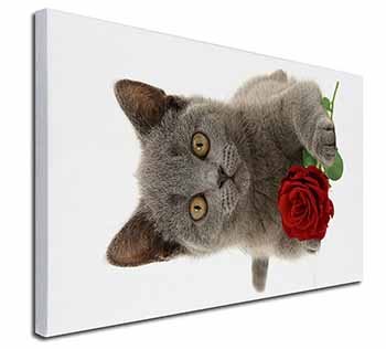 British Blue Kitten with Red Rose Canvas X-Large 30"x20" Wall Art Print