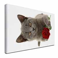 British Blue Kitten with Red Rose Canvas X-Large 30"x20" Wall Art Print