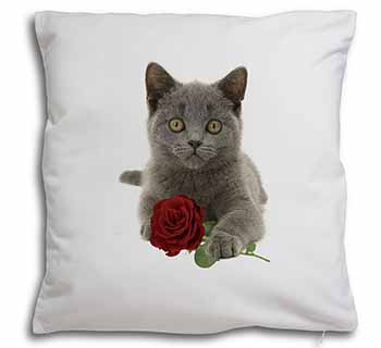 British Blue Kitten with Red Rose Soft White Velvet Feel Scatter Cushion