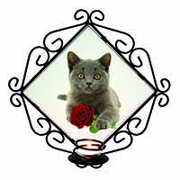 British Blue Kitten with Red Rose Wrought Iron Wall Art Candle Holder