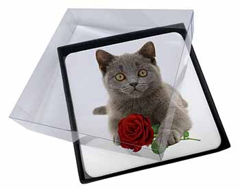 4x British Blue Kitten with Red Rose Picture Table Coasters Set in Gift Box