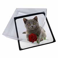 4x British Blue Kitten with Red Rose Picture Table Coasters Set in Gift Box