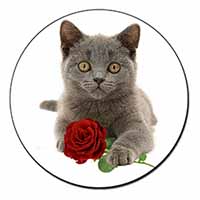 British Blue Kitten with Red Rose Fridge Magnet Printed Full Colour