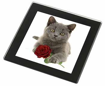 British Blue Kitten with Red Rose Black Rim High Quality Glass Coaster