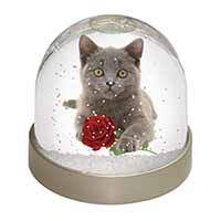 British Blue Kitten with Red Rose Snow Globe Photo Waterball