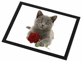 British Blue Kitten with Red Rose Black Rim High Quality Glass Placemat