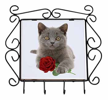 British Blue Kitten with Red Rose Wrought Iron Key Holder Hooks