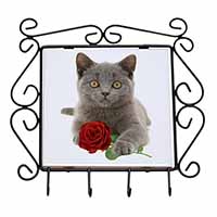 British Blue Kitten with Red Rose Wrought Iron Key Holder Hooks