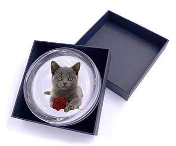 British Blue Kitten with Red Rose Glass Paperweight in Gift Box