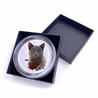 British Blue Kitten with Red Rose Glass Paperweight in Gift Box