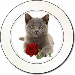 British Blue Kitten with Red Rose Car or Van Permit Holder/Tax Disc Holder