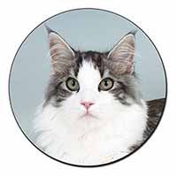 Pretty Grey and White Cats Face Fridge Magnet Printed Full Colour