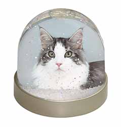 Pretty Grey and White Cats Face Snow Globe Photo Waterball