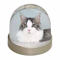 Pretty Grey and White Cats Face Snow Globe Photo Waterball