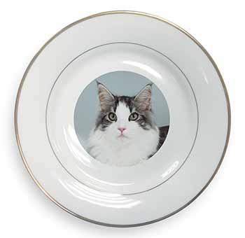 Pretty Grey and White Cats Face Gold Rim Plate Printed Full Colour in Gift Box