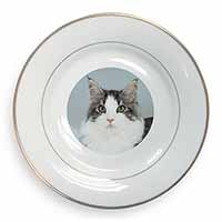 Pretty Grey and White Cats Face Gold Rim Plate Printed Full Colour in Gift Box