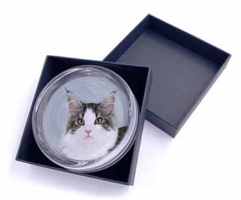 Pretty Grey and White Cats Face Glass Paperweight in Gift Box