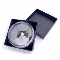 Pretty Grey and White Cats Face Glass Paperweight in Gift Box