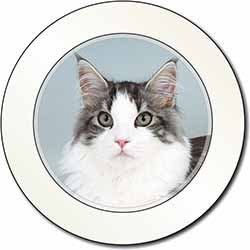 Pretty Grey and White Cats Face Car or Van Permit Holder/Tax Disc Holder