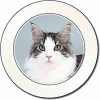 Pretty Grey and White Cats Face Car or Van Permit Holder/Tax Disc Holder