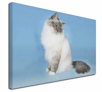 Birman Cats Canvas X-Large 30"x20" Wall Art Print