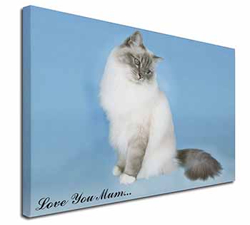 Birman Cat 