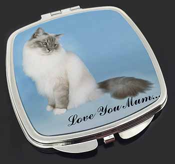 Birman Cat 