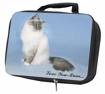 Birman Cat 