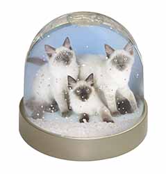 Ragdoll Kittens Snow Globe Photo Waterball