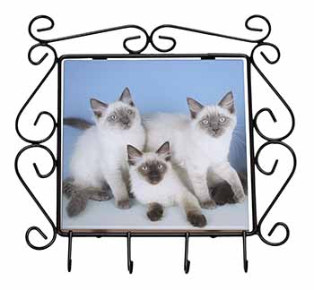 Ragdoll Kittens Wrought Iron Key Holder Hooks