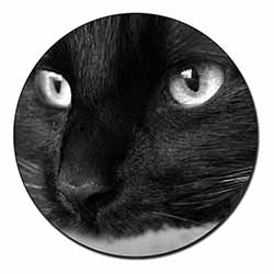 Gorgeous Black Cat Fridge Magnet Printed Full Colour