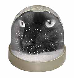 Gorgeous Black Cat Snow Globe Photo Waterball