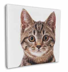 Brown Tabby Cats Face Square Canvas 12"x12" Wall Art Picture Print