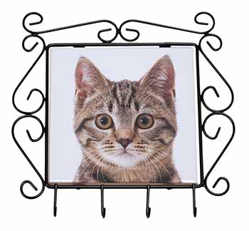 Brown Tabby Cats Face Wrought Iron Key Holder Hooks