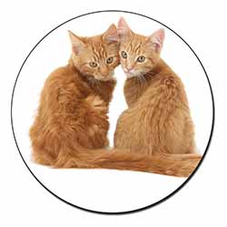 Ginger Kittens Fridge Magnet Printed Full Colour