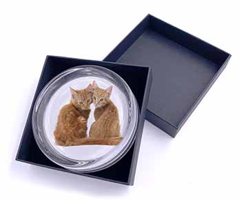 Ginger Kittens Glass Paperweight in Gift Box