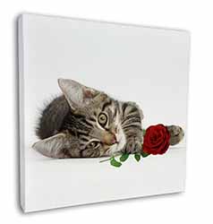 Tabby Kitten Cat with Red Rose Square Canvas 12"x12" Wall Art Picture Print