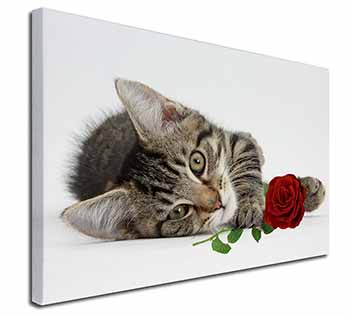 Tabby Kitten Cat with Red Rose Canvas X-Large 30"x20" Wall Art Print