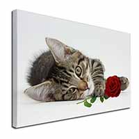 Tabby Kitten Cat with Red Rose Canvas X-Large 30"x20" Wall Art Print