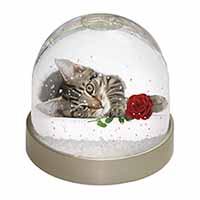 Tabby Kitten Cat with Red Rose Snow Globe Photo Waterball