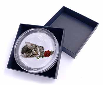 Tabby Kitten Cat with Red Rose Glass Paperweight in Gift Box