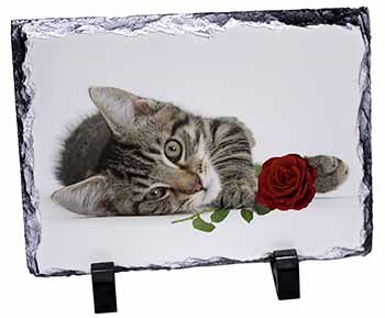 Tabby Kitten Cat with Red Rose, Stunning Photo Slate