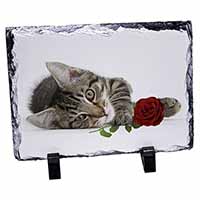 Tabby Kitten Cat with Red Rose, Stunning Photo Slate